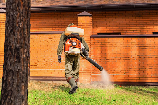 Bed Bug Clearance Verification and Documentation in Fairfield Glade